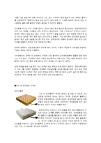 [도시문제론] `디자인 서울` 속에서 유니버설 디자인의 요소-11