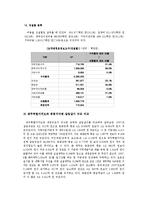 [정부회계] 제주 특별 자치도에 대한 재무 분석 -민간 투자자들을 대상으로 한 투자 유치 목적으로-7