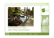 [자연과 환경] 친환경 도시개발개획 수법과 사례를 통한 연구 분석-2