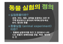동물실험 레포트-3