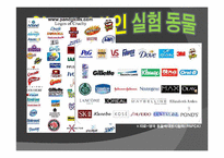동물실험 레포트-6