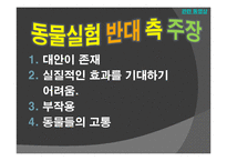 동물실험 레포트-11