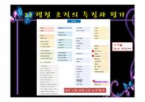 [행정학원론] 노무현정부 -참여정부-5