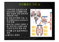[언어와 심리] 신경언어학과 심리언어학-7