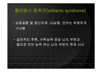 [언어와 심리] 신경언어학과 심리언어학-8