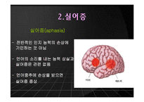 [언어와 심리] 신경언어학과 심리언어학-9