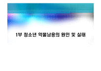 [청소년복지론] 청소년 약물남용 원인실태와 사회복지적 개입 방안-3