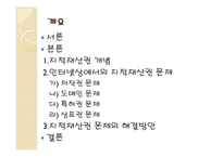 인터넷 상에서의 지적 재산권-2