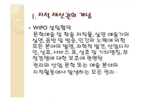 인터넷 상에서의 지적 재산권-6