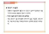 성인기 영양 레포트-11
