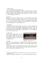 [서비스경영론] 서비스 패키지를 이용한 맥도날드 품질측정방법-4