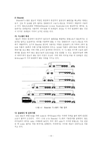 [물류 및 운송론] 녹색물류 경쟁력 강화를 위한 철도화물운송-11