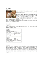 유아용 비데 마케팅전략-2
