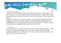[외식업] 레드망고 성공요인분석-16