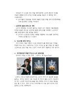 [국제경영] 라면산업 일본 NISSIN 닛신 & 농심 비교분석-10