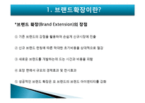 [마케팅] HP의 브랜드확장 실패요인-4