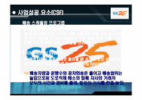 GS25 정보화전략-10