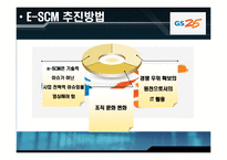 GS25 정보화전략-19