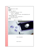 [보육과정] 사회관계 보육과정-19