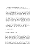 [영어영문학] 문학작품`순수의 시대`에 대하여 -배경과 인물 분석을 중심으로-11