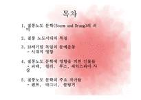 감성주의 문학 -Sturm und Drang을 중심으로-2
