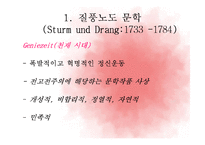 감성주의 문학 -Sturm und Drang을 중심으로-3