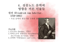 감성주의 문학 -Sturm und Drang을 중심으로-8