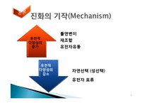 [자연과학] 진화론-7