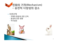 [자연과학] 진화론-8