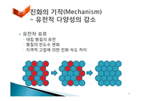 [자연과학] 진화론-9
