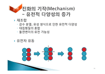 [자연과학] 진화론-11
