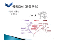 [자연과학] 진화론-14