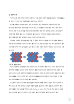 [자연과학] 진화론-13