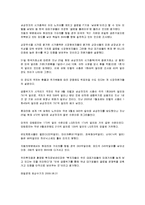 [경영학원론,마케팅원론] 삼성전자-11