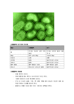 [바이러스] 신종플루 완벽정리(정의, 원인, 증상, 예방법, 치료법)-3