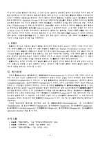 [법학] 법제사 - 독일 중세의 법-10