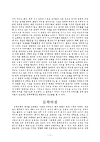 [비평학] 비평학-9