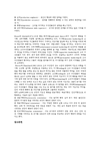 [지도성, 지도력, 리더십] 지도성(지도력, 리더십)의 개념, 지도성(지도력, 리더십)의 종류와 지도성(지도력, 리더십)의 주요이론 및 지도성(지도력, 리더십)의 행동차원 심층 분석-10
