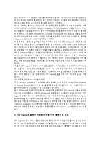[ITV] ITV(쌍방향TV, 인터랙티브티비)의 정의와 유형, ITV(쌍방향TV, 인터랙티브티비)의 기능과 규제기준, ITV(쌍방향TV, 인터랙티브티비)의 현황과 문제점, 영국의 ITV(쌍방향TV, 인터랙티브티비) 사례와 법제화 방향 분석-9