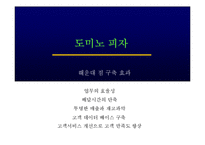 [마케팅, 도미노피자] 도미노 피자의 마케팅-16