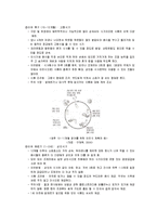 [식생활관리] 영아기의 영양관리-13