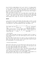 [국제경영론] 현대 기아 자동차 & 도요타-19