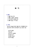 현대자동차 ERP 레포트-2