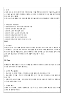 [마케팅] LCD 홈패드 양문형 냉장고 지펠의 마케팅전략-13