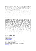 [경제] 비정규직 주요 쟁점 및 문제점-17