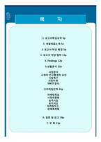 [마케팅] 여성 신제품 소주 마케팅전략-2