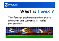 [경영정보] fxcm & wise tech-11