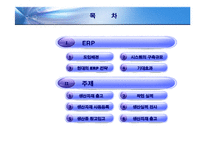 현대자동차 ERP 레포트-2