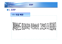 현대자동차 ERP 레포트-3