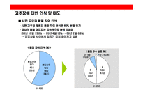 [주부층 핵심 타켓으로한 고추장 브랜드 커뮤니케이션 전략] 주부층 핵심 타켓으로한 고추장 브랜드 커뮤니케이션 전략-4